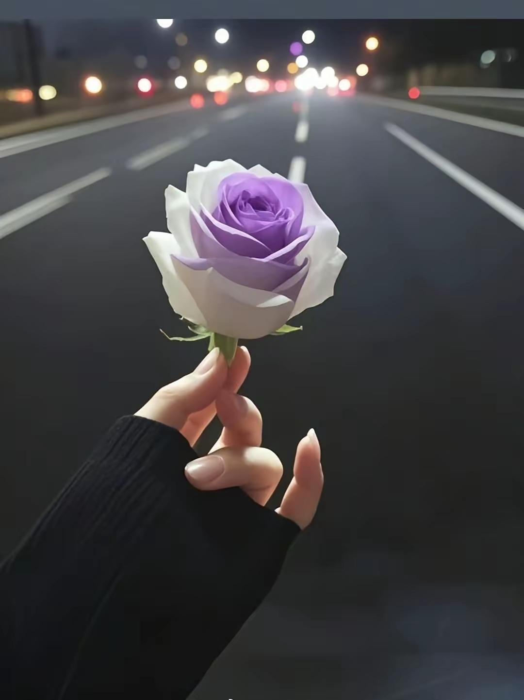 论喝酒中午喝、晚上喝，身体很快会趴窝。今天醉、明天醉，很快就去医院睡。