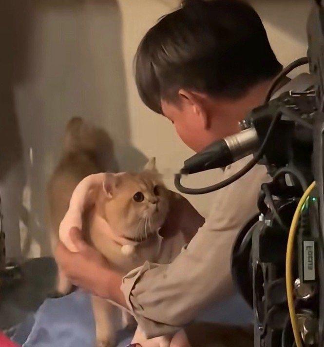 看到小猫被温柔的对待也是心软软,但是拍完了一定把猫猫完好无损的送回给原主人啊!拍