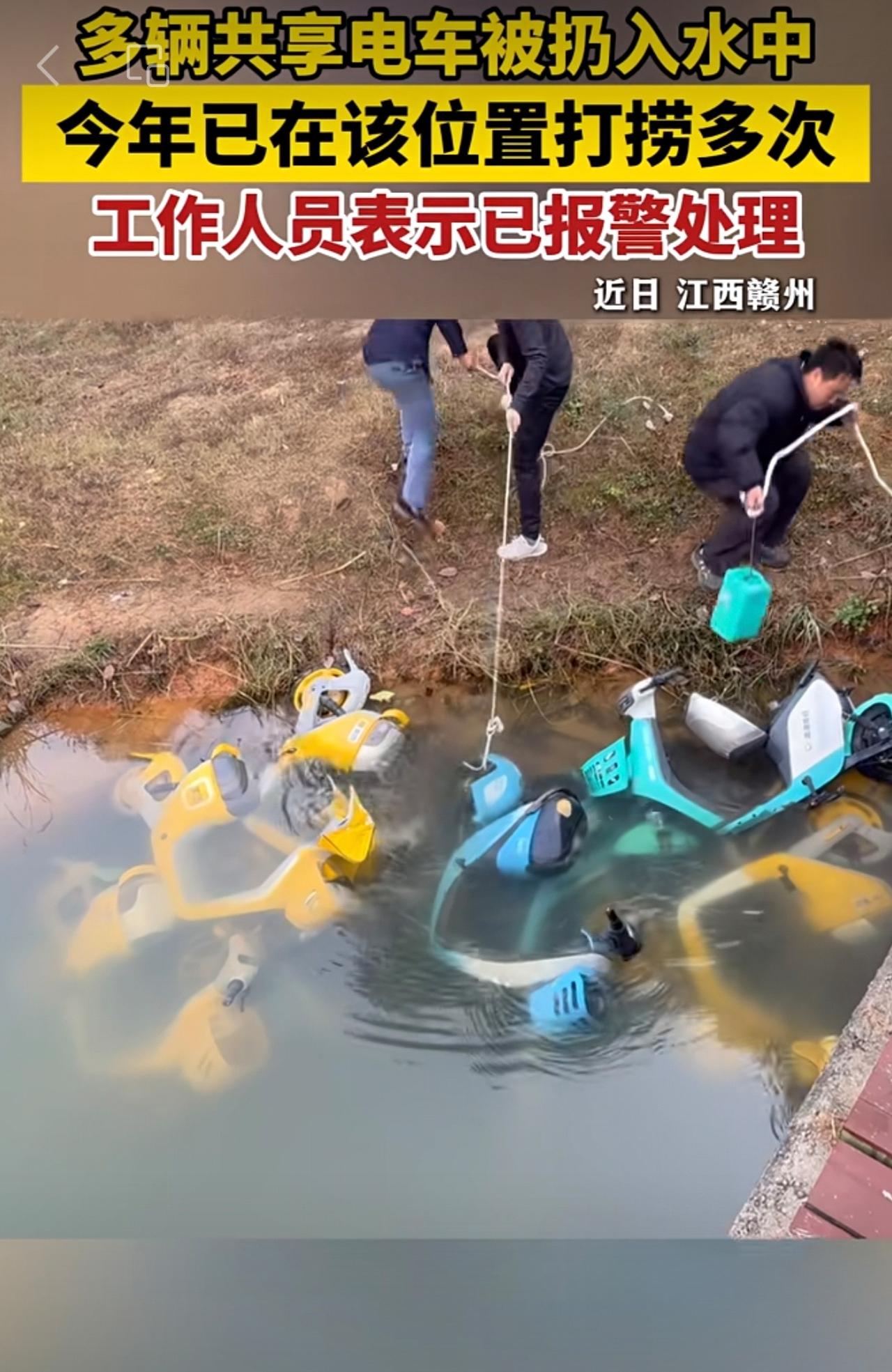 多辆共享电车被扔入水中，今年已在该位置打捞多次，工作人员表示已报警处理【来源：顺