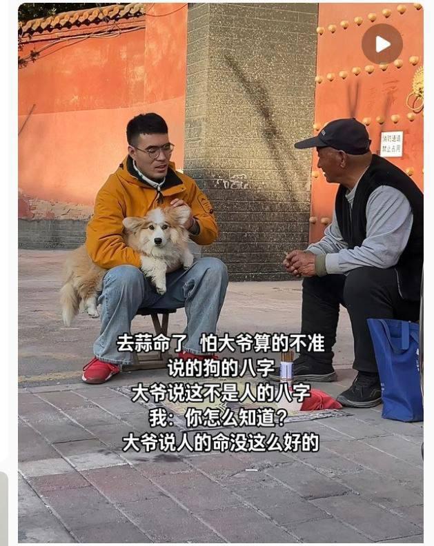 大爷功力深厚啊