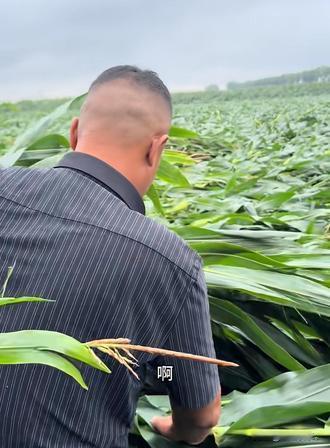 黑龙江"地头蛇"狂的不得了了！黑龙江巴彦的刘辉，很多人管他叫大虫儿，也有人开