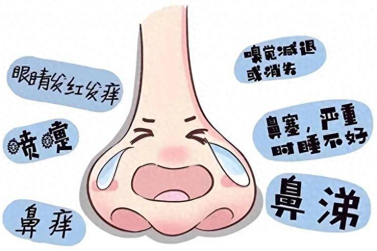 过敏性鼻炎总反复？狂流鼻涕、打喷嚏？中医：根不在鼻子，在肾！1个中成药，从根断