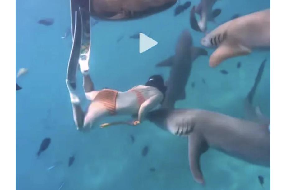马尔代夫潜水惊魂！中国女游客被鲨鱼咬穿手腕，2个细节引热议，专家提醒太关键