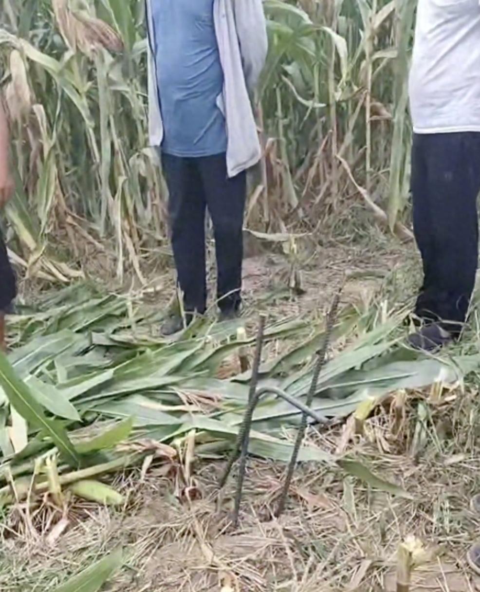 河北邢台，一台价值不菲的收割机开进自家玉米地，本想着趁着农忙赶紧把粮食收回来，没