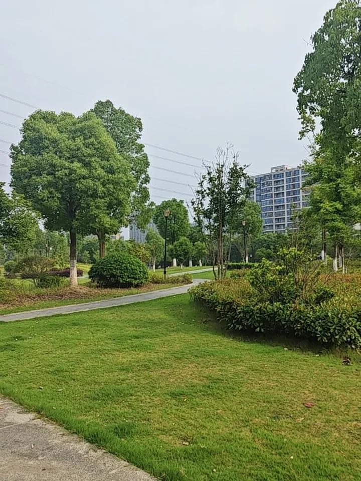 别等半身不遂才后悔！50岁后，守不住这3个“气口”真就晚了人过五十，最怕深夜