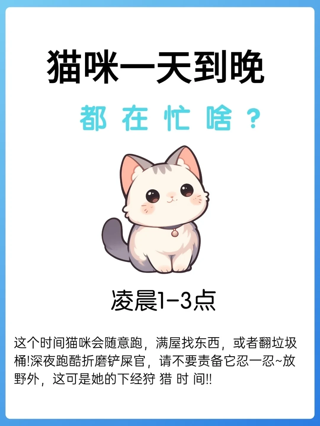 猫咪一天到晚都在忙啥？