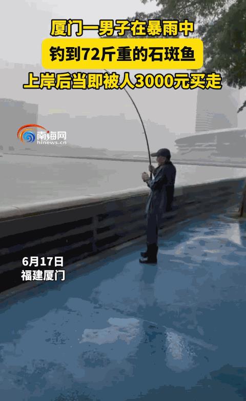 “简直赚翻了！”6月17日，福建厦门，男子暴雨天钓鱼，突然感觉拉力很大，认为是条