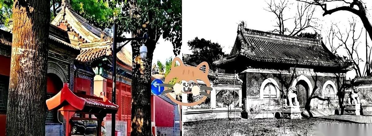 晚清法雨寺的这段旧案，至今看回依然透着一股子阴冷。几个天天在菩萨面前敲木鱼的“洋