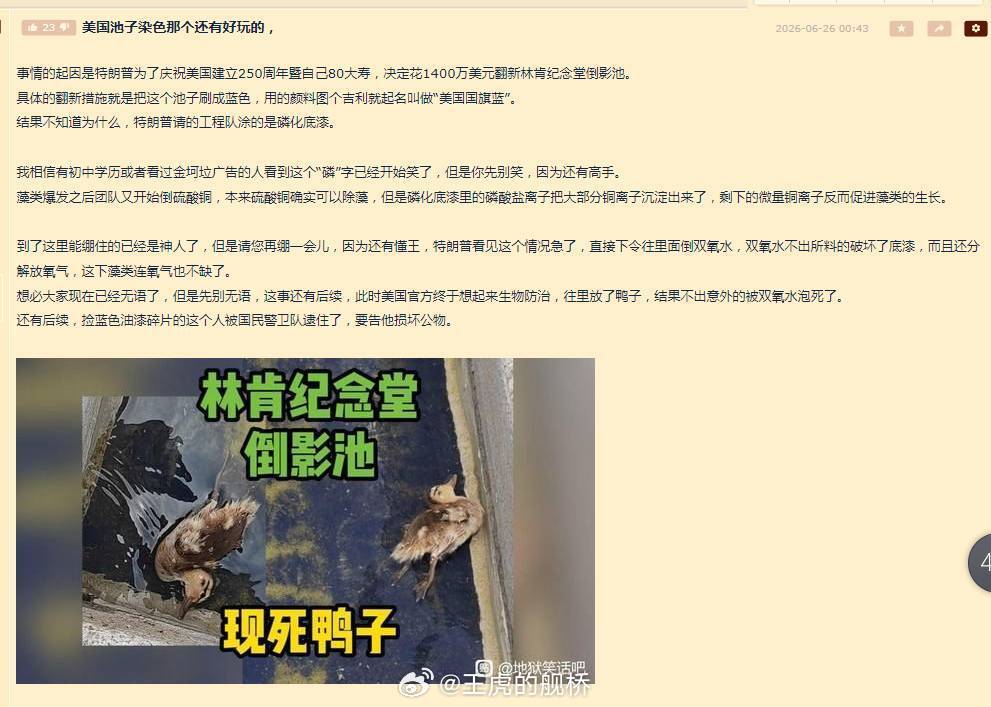 你还真别说，死鸭子这个生物和懂王以及当今的美国挺般配的。