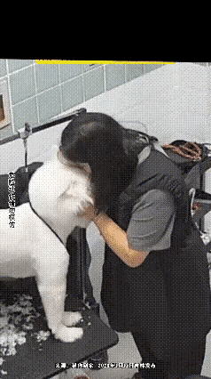 真的太好笑了，网友一句“你咋亲上嘴了”，直接道出真相。一女