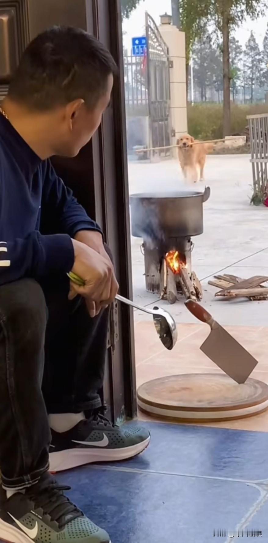 金毛素来早出晚归，这天刚往家走，大老远就瞧见主人在门口烧了一锅滚水，旁边摆着锯肉