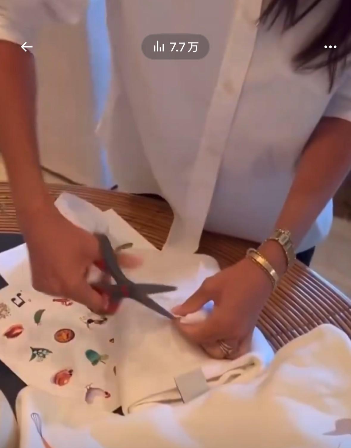 可是，她为什么不让莉莉帮她一起做呢？那个小莉莉在哪儿？或者阿奇？我想说，他们的专