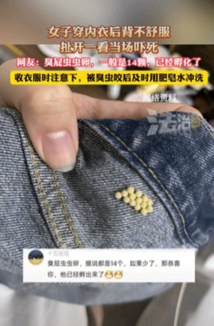 太吓人了！四川，女子起床穿内衣，结果，却总感觉扣不舒服，她将内衣一把扯开，竟然在
