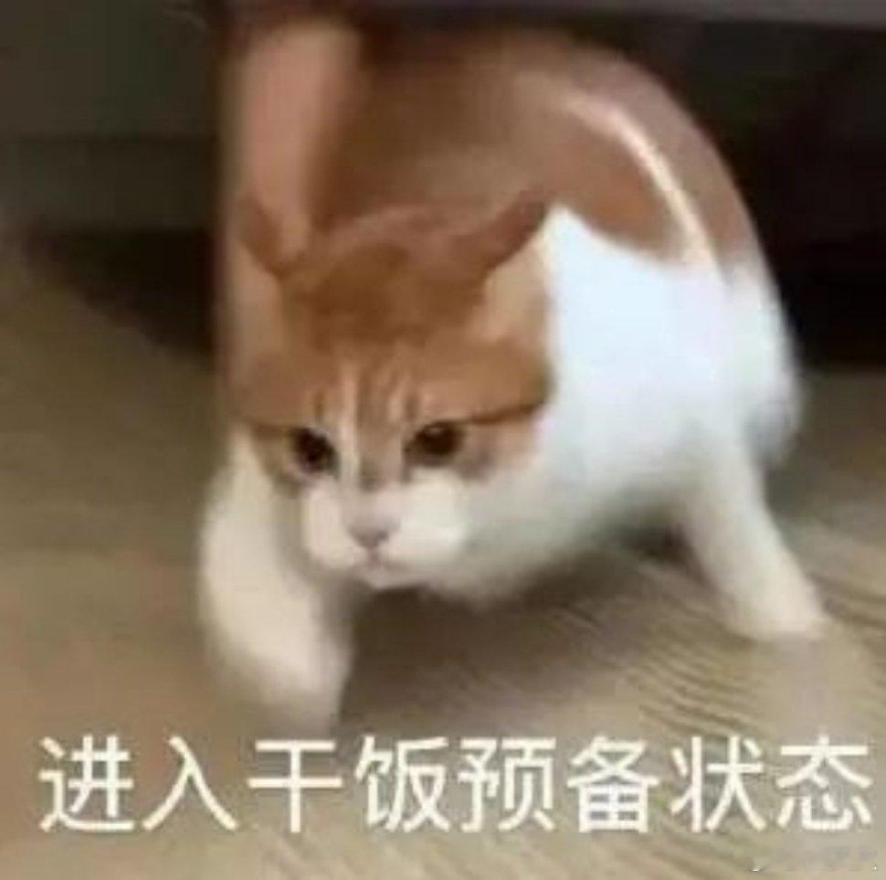 准备干饭！家人萌中午吃啥？​​​