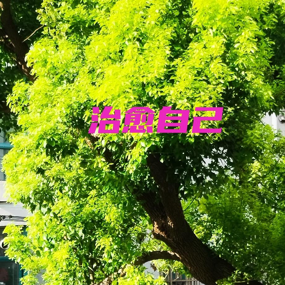 大手术过，化疗过，人很虚弱，代谢能力很低。不要再劝多增加营养，多增加蛋白质，这个