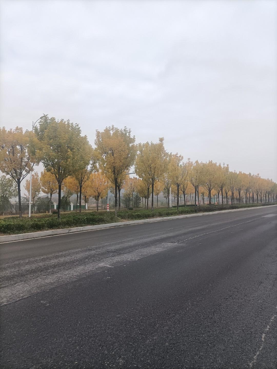 拉面馆的生意终于结束了表弟三年前把县城的快递点转让出去后，就来到市里开拉面