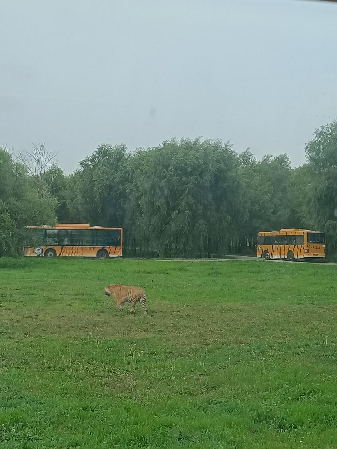 同样都是公主，面对丈夫偷腥，差距咋这么大？东晋权臣桓温征讨成汉政权，消灭了