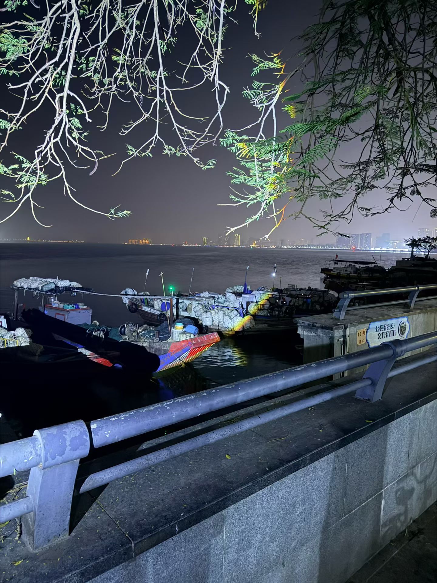 海风吹得人懒懒的，夜景也好看得不想挪步。可再美的风景也只是路过，船飘得再远也得靠