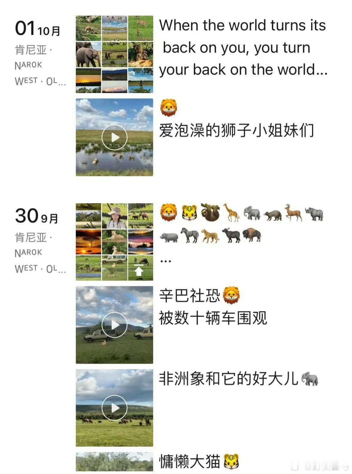 她是没出过国吗？为什么出个国狂发朋友圈