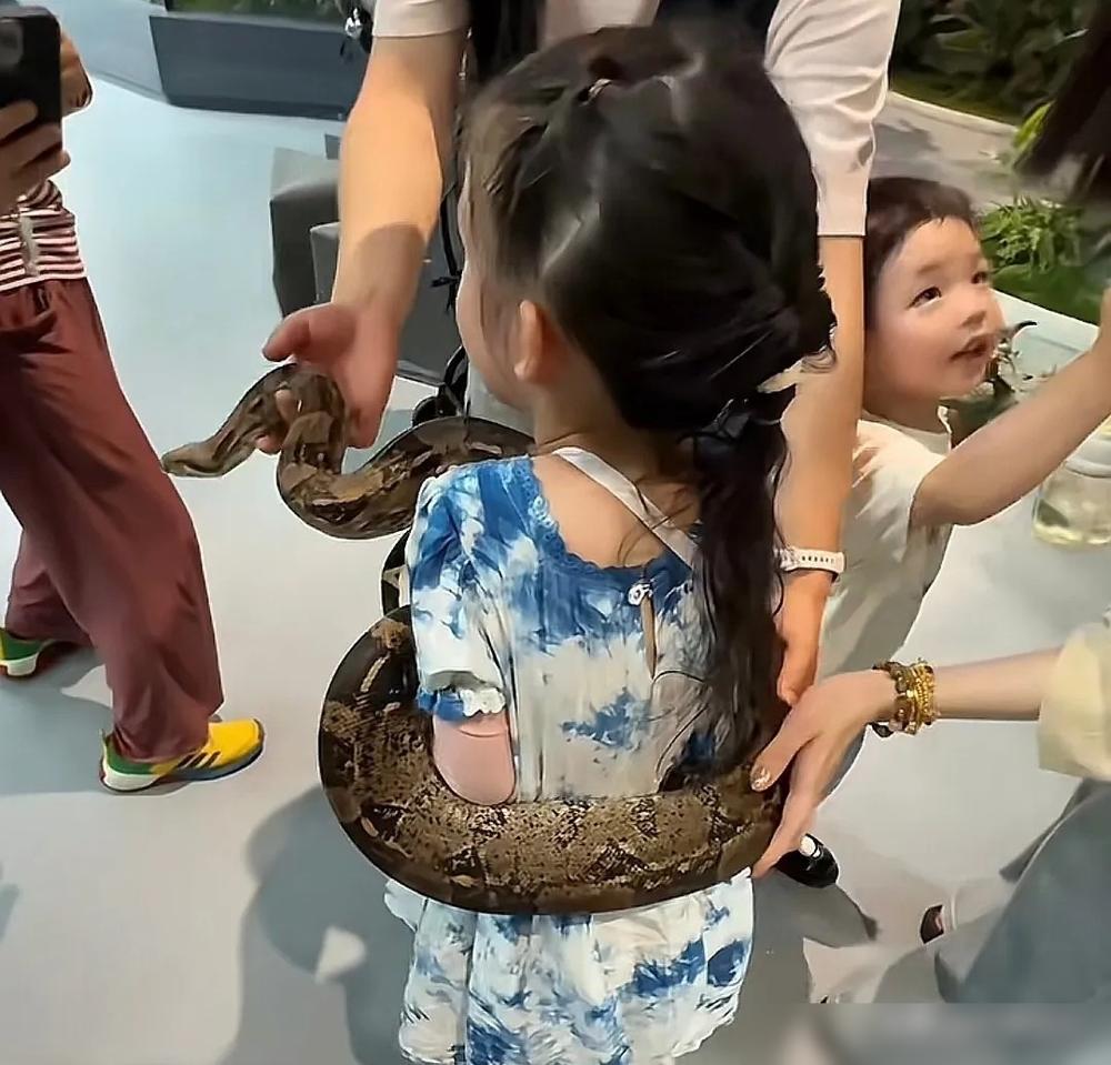 郭碧婷的育儿，不惯孩子。父亲70大寿刚过，她就携儿女飞北京。闺蜜夕又米备了礼