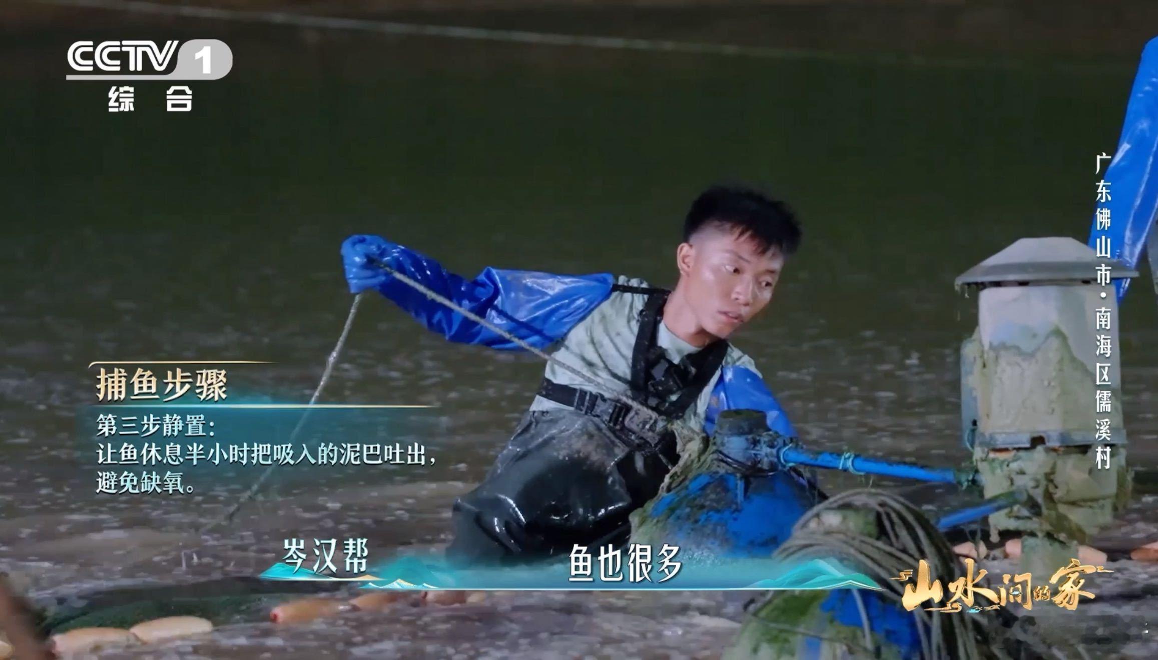 佛山渔民的智慧太接地气！简易鱼“电梯”让捕鱼少了蛮力，多了高效，凌晨收获两万多斤