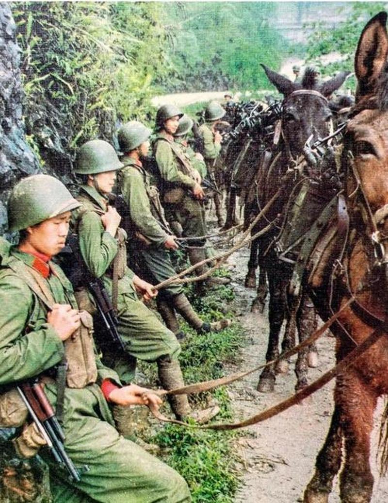 缴获的越军防御图，几乎就是我军进攻计划的镜像。1984年4月底，收复老山的战