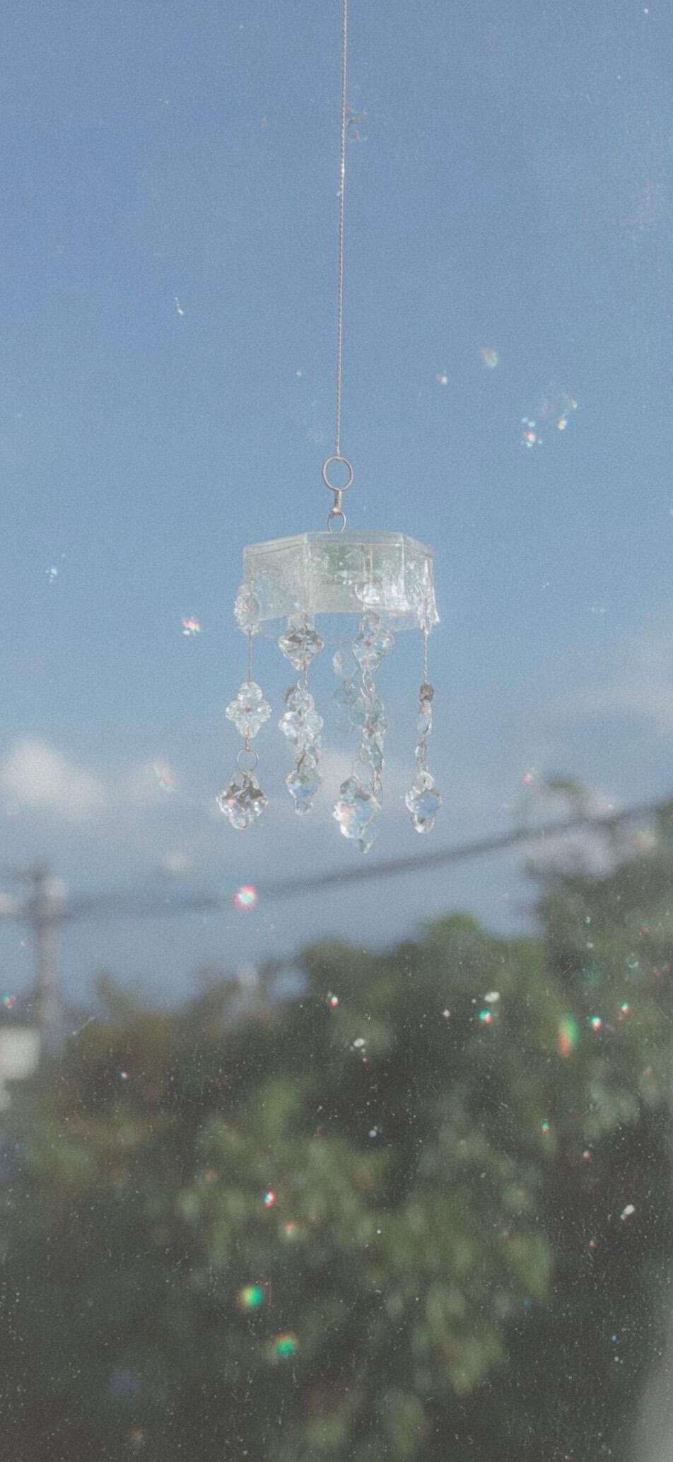 夏日清新壁纸🌼🍏‧₊실시간공유🍦