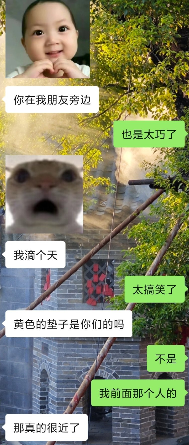 太好笑了，两个人半夜聊万岁山突然发现当时俩人就站在一起[笑着哭]​​​