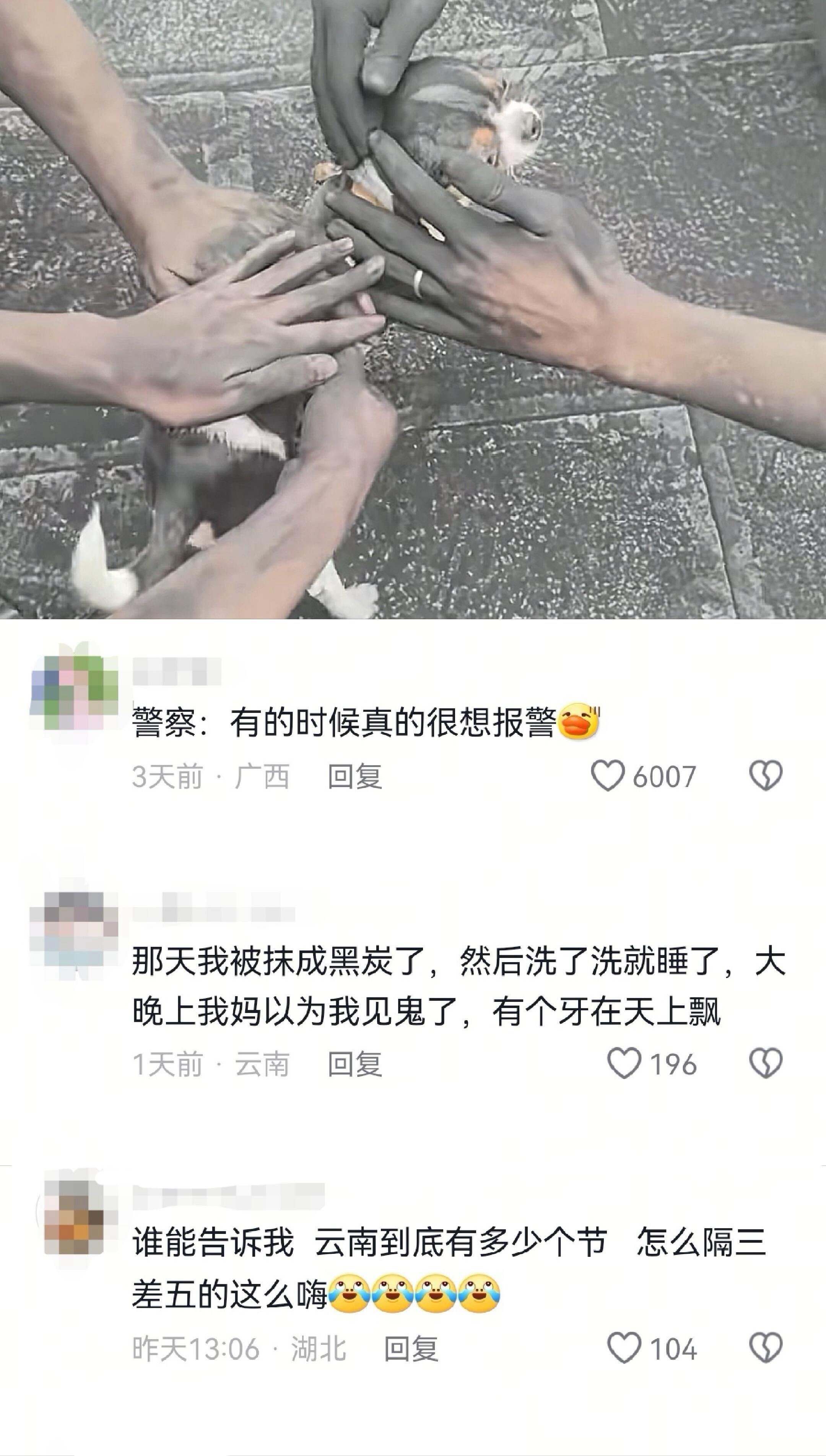 云南:你们谁也不想白着回去！