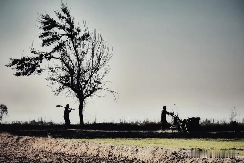 堂哥亲还是表哥亲？其实这个问题不纠结，如果按照血缘关系，堂哥继承的是本家族的血