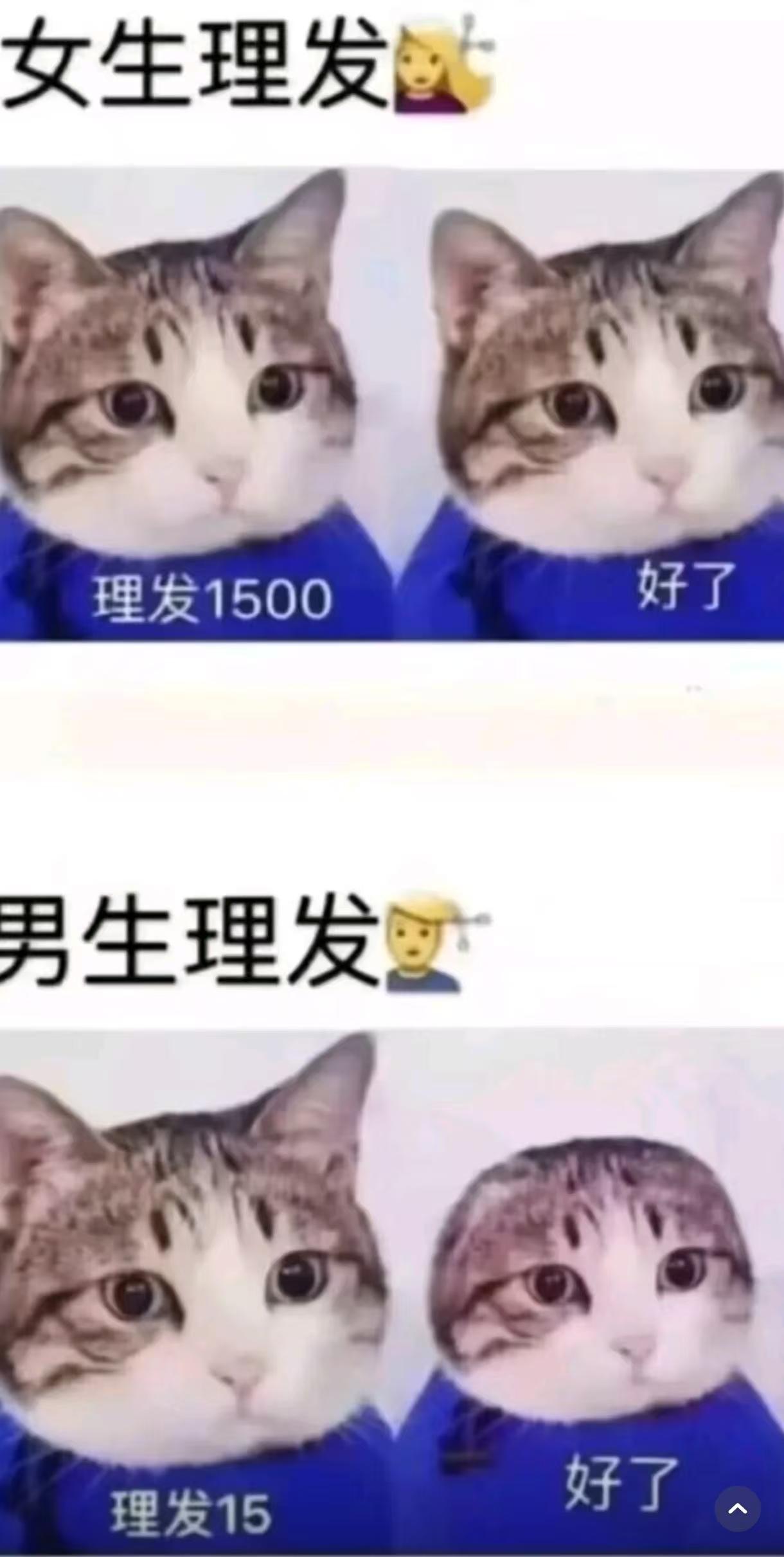 女生理发vs男生理发