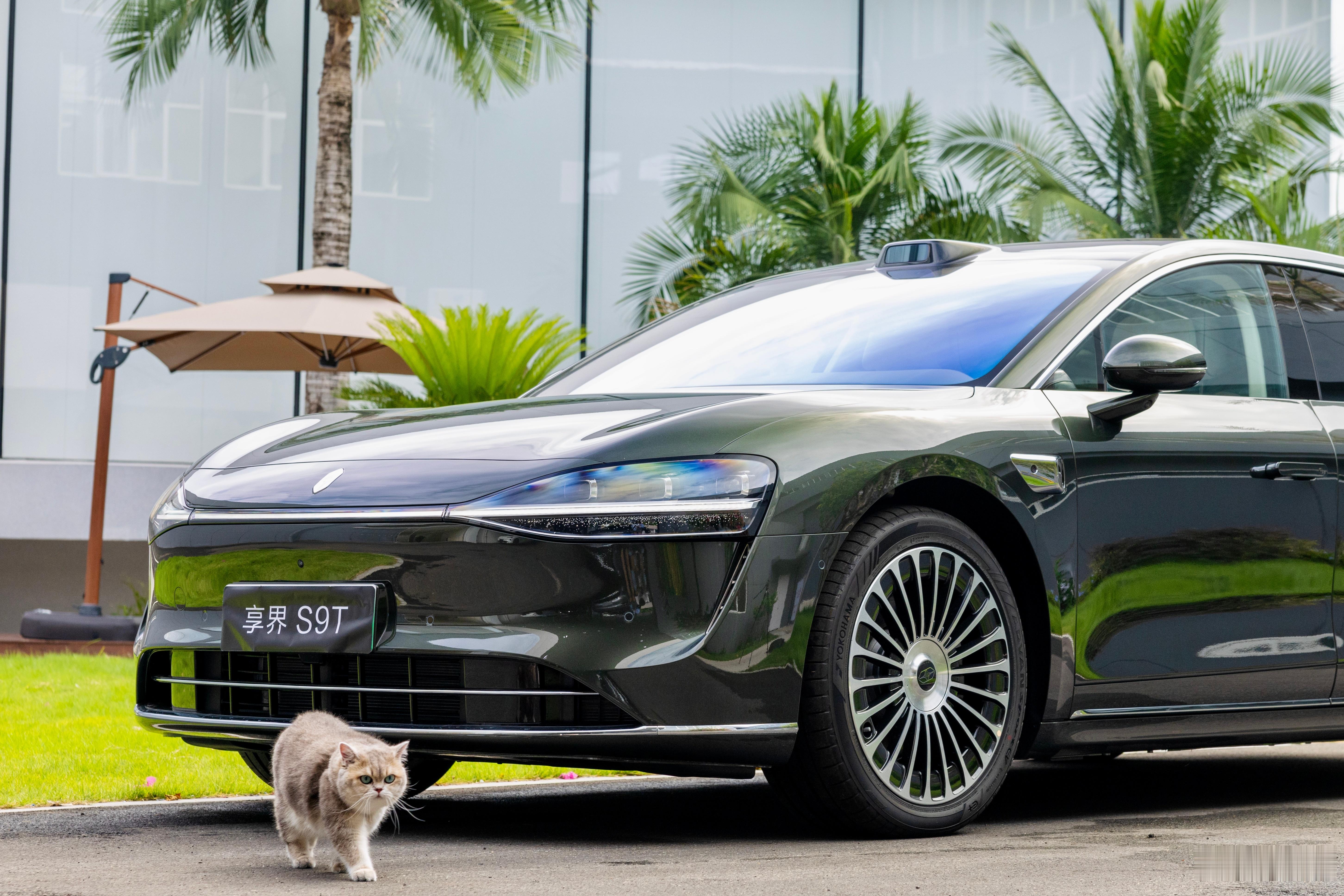 请超模和我的享界S9T拍照，这猫步走得太有气势了🤩​​​