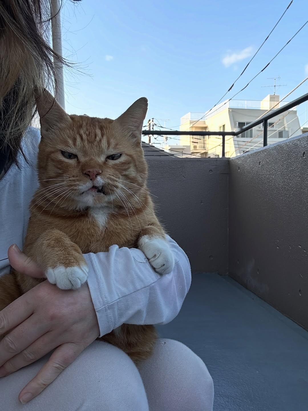 咪：想刀一个人的眼神是藏不住的