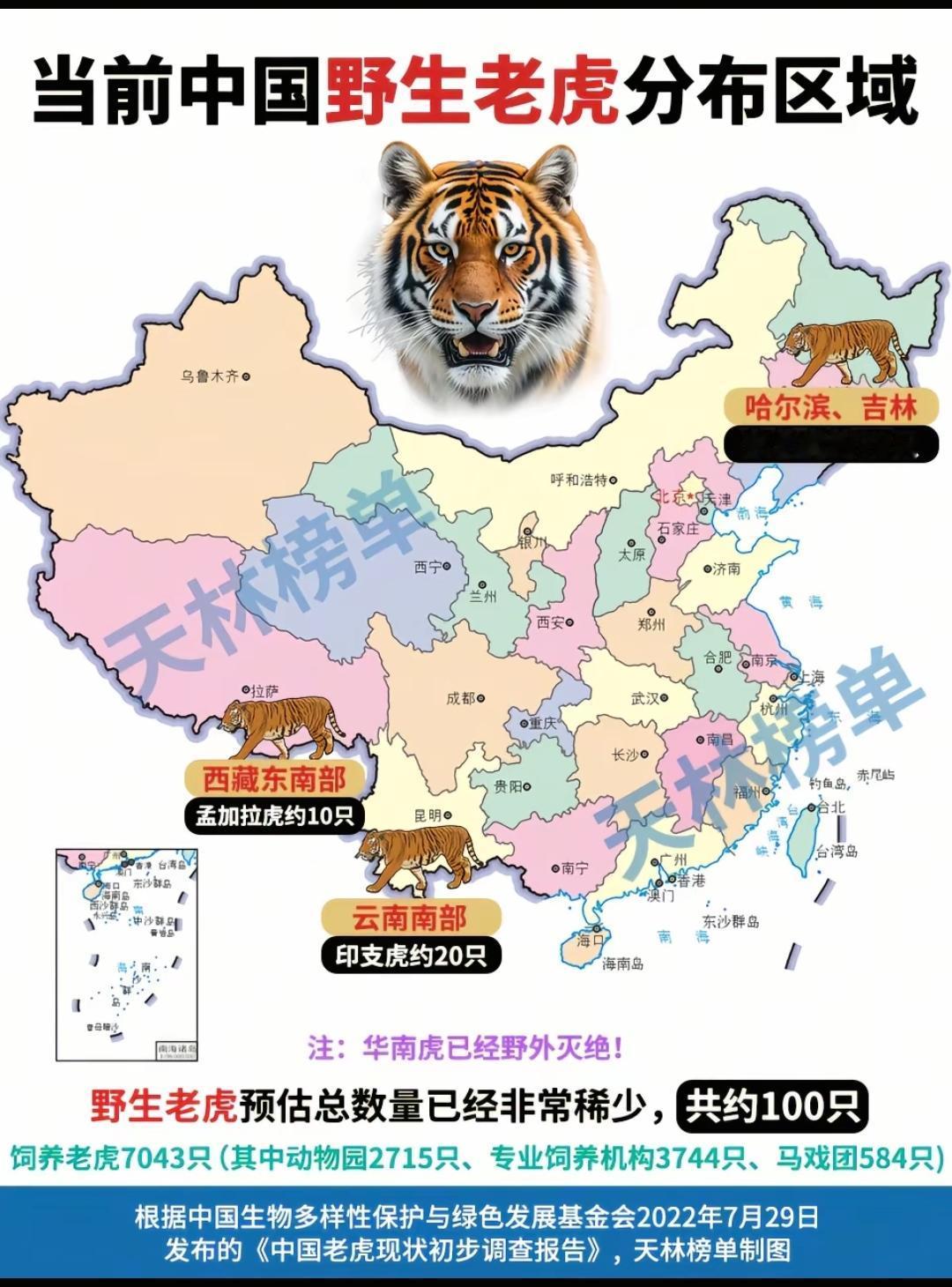 当前中国野生老虎分布区域。现在东北虎已经很多了，东北大兴安岭小兴安岭长白山脉，都