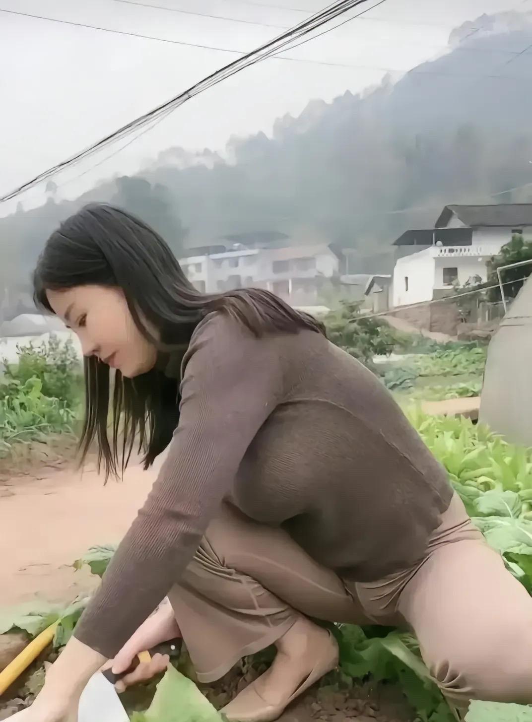 农家二妹子田间二妹忙，菜垄笑声扬。手把青秧种，心怀翠玉妆。无公害菜长，有爱