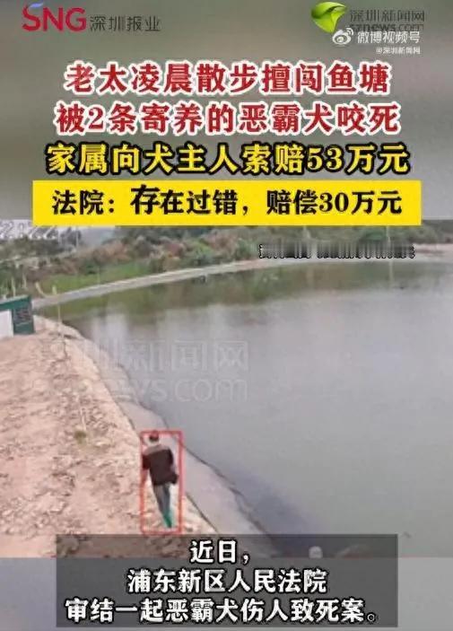 凌晨四点，上海浦东新区一名六旬老太在散步时，擅自闯入他人承包的鱼塘，惨遭两条寄养