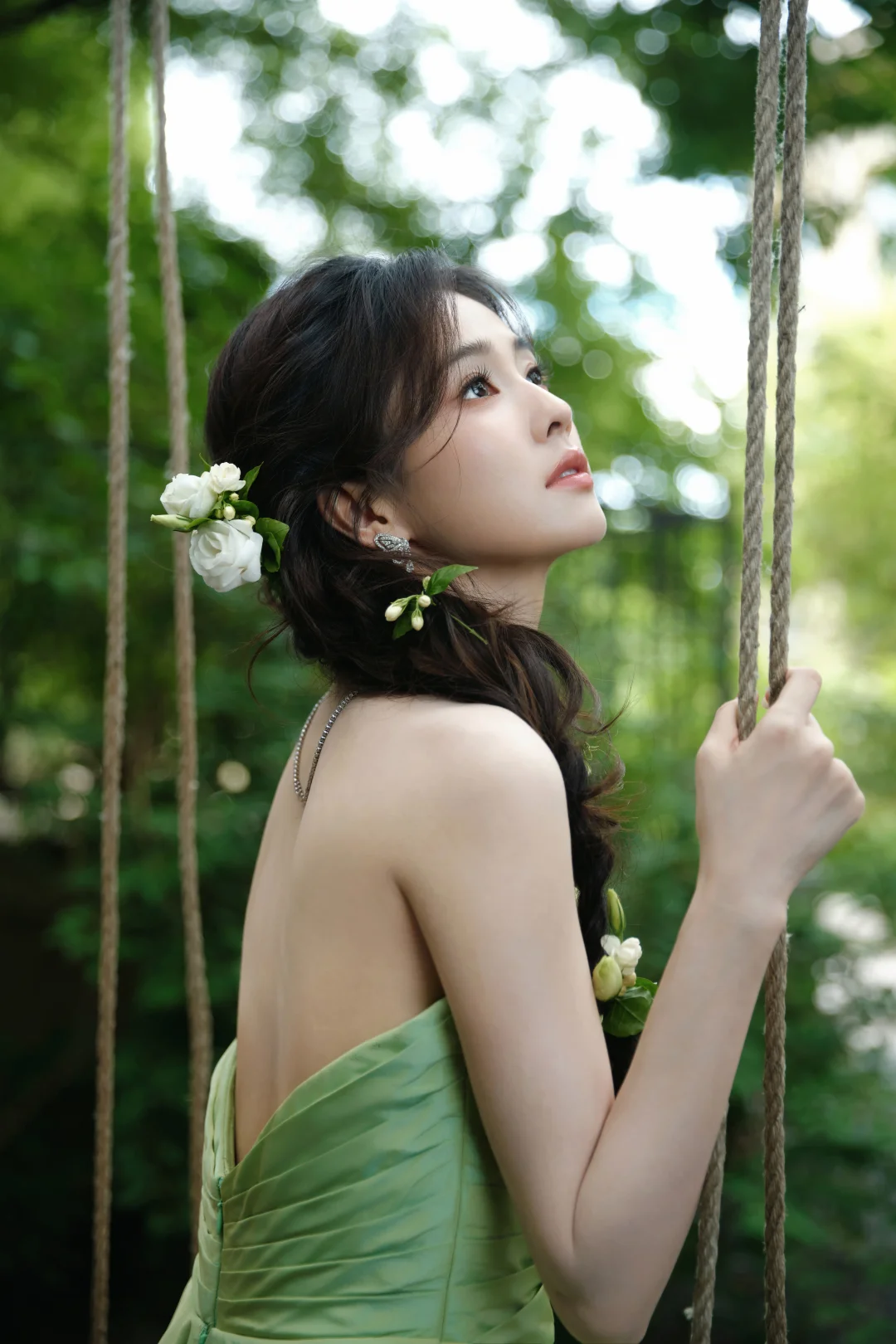 📷我拍的白鹿和茉莉