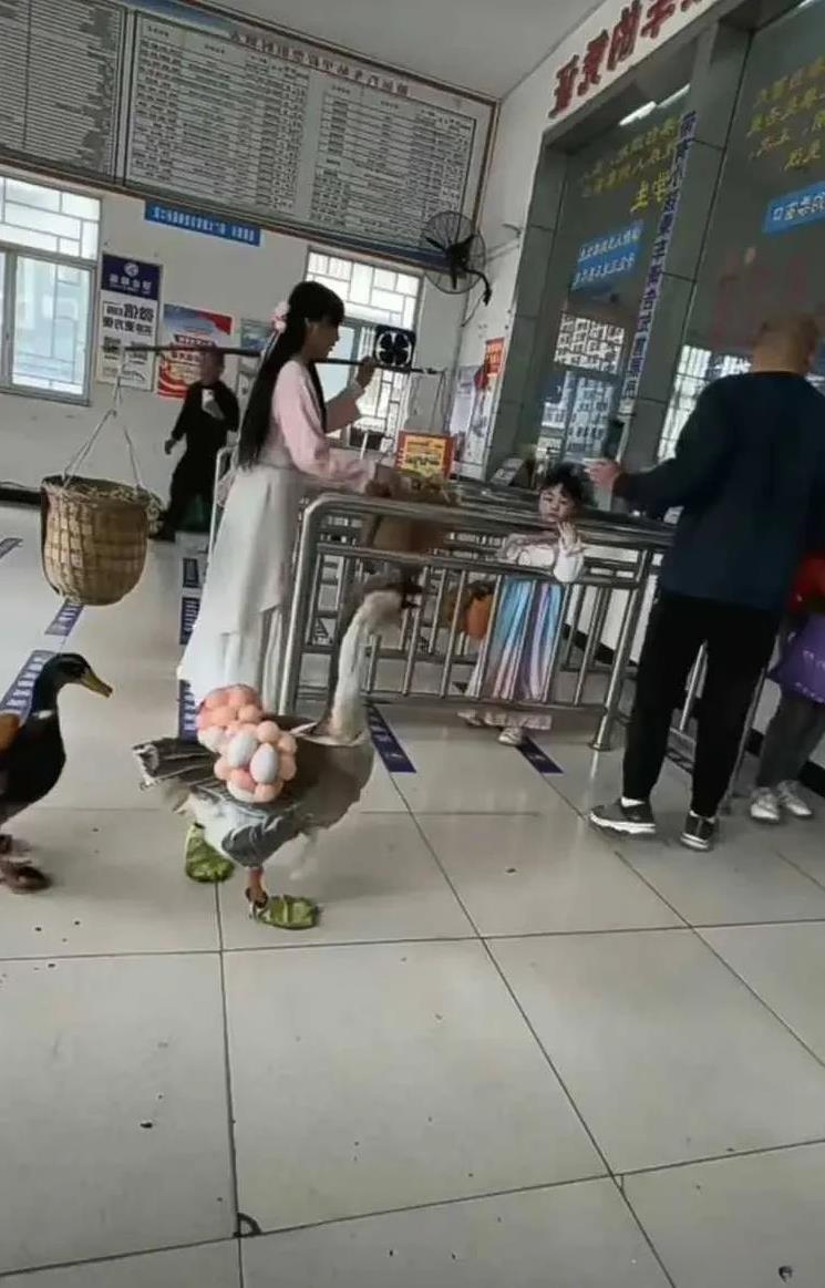 鹅：自己下的蛋还要我自己背[笑着哭]