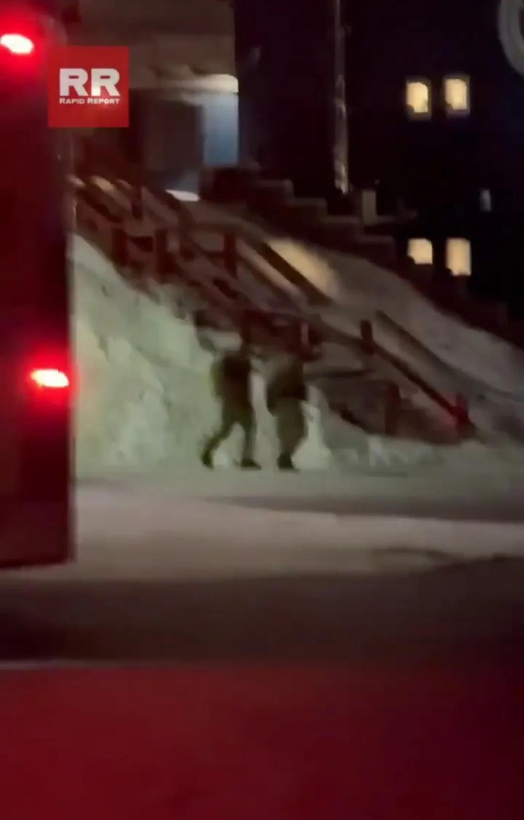 在丹麦的哀求下，欧洲多国答应派兵部署到格陵兰岛，协助丹麦军队守岛，那么欧洲共派出