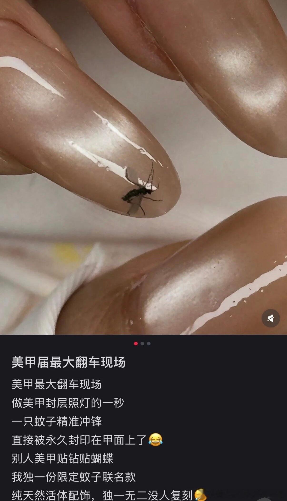 6236这怎么不算一种琥珀呢
