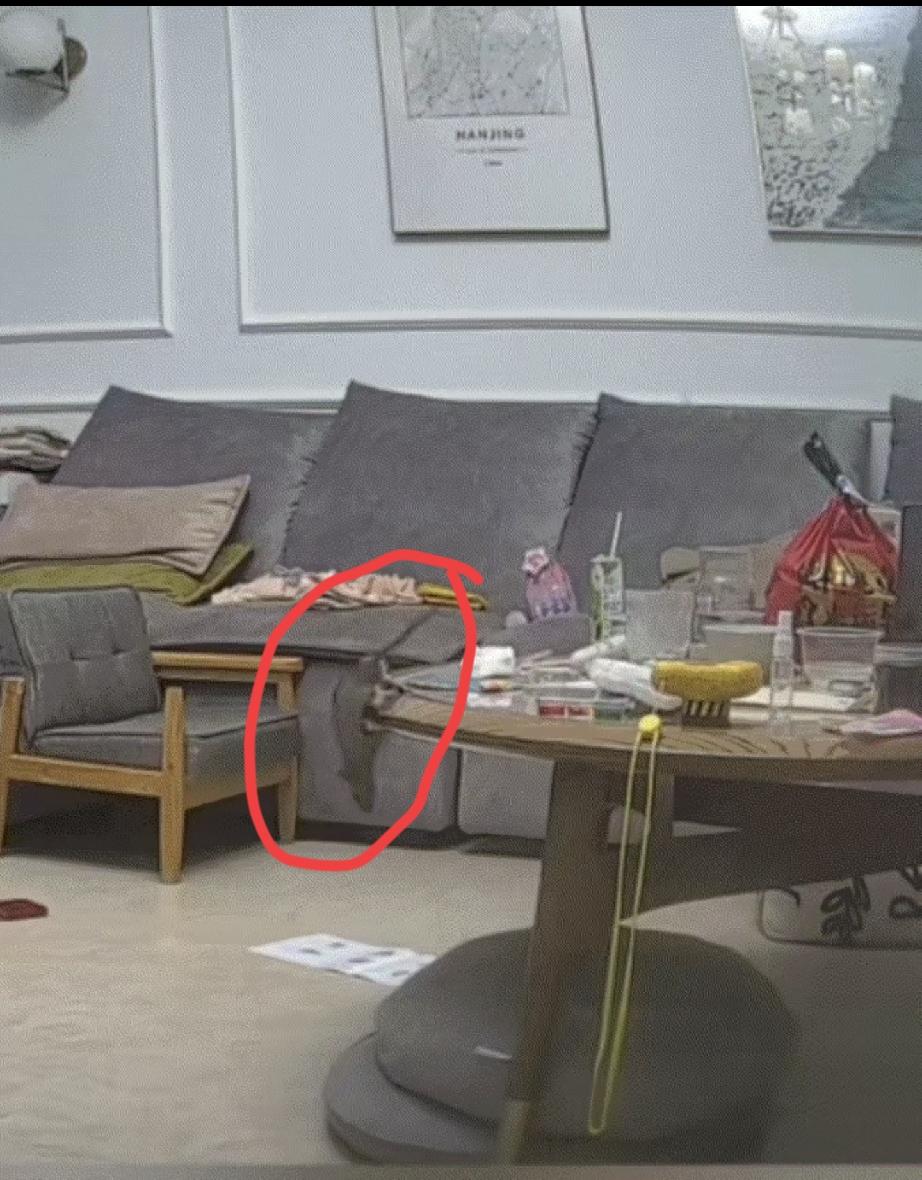 一妈妈点了一份外卖，而外卖送到后，妈妈把外卖放在自家客厅桌上后，便带孩子去洗手准