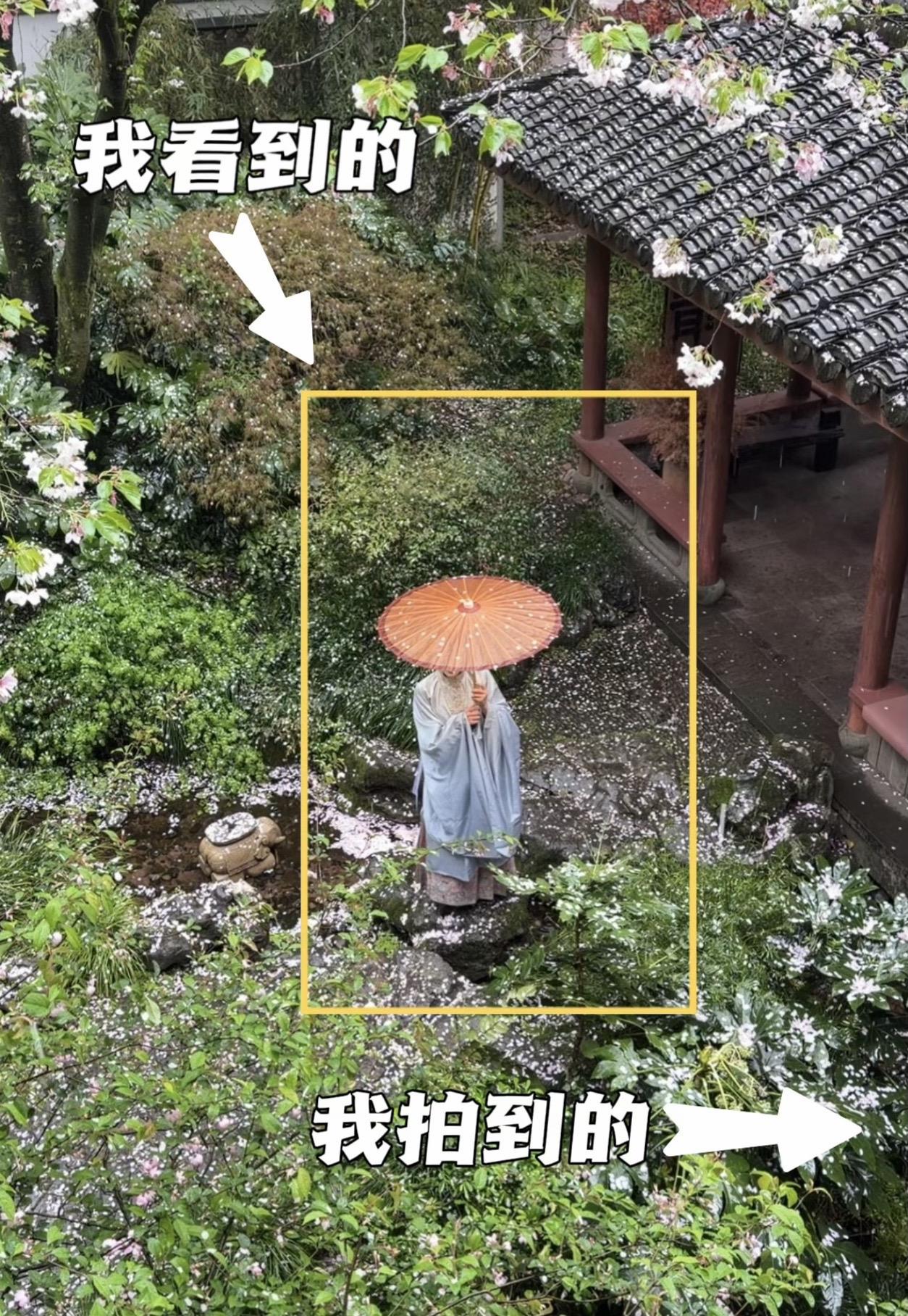 下雨的杭州才是真正的江南。雨天拍樱花，最怕画面“灰、平、脏”。核心思路...