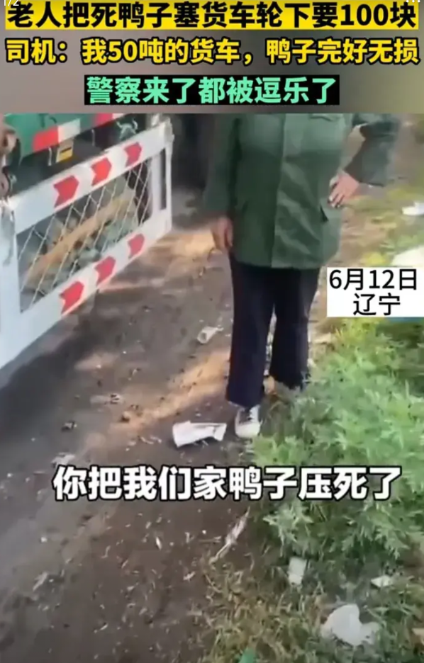 太搞笑了，辽宁有个老太太把死鸭子塞车轮下，想要讹司机一百块，结果没想到输在了没常