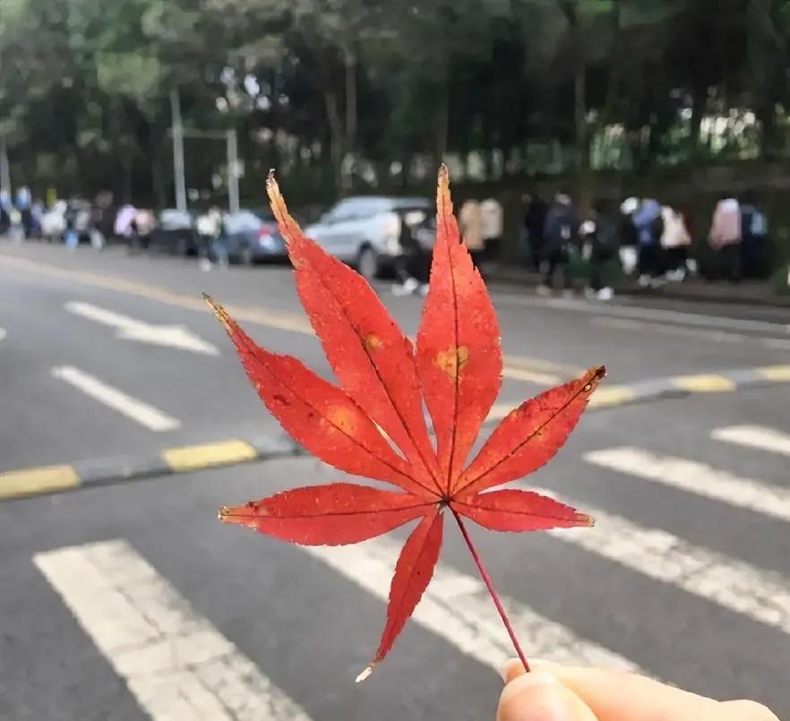 很有感触的一段话：“一个人如果过度节省，舍不得吃，舍不得穿，那你省下来的其实不