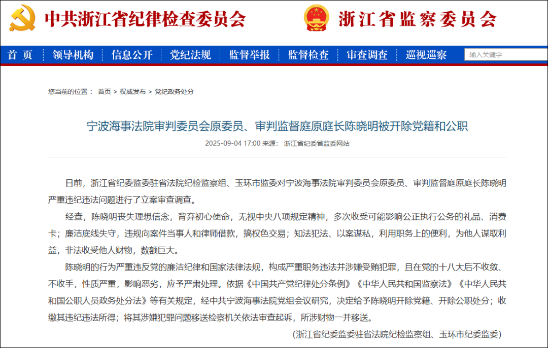 陈晓明, 被开除党籍和公职