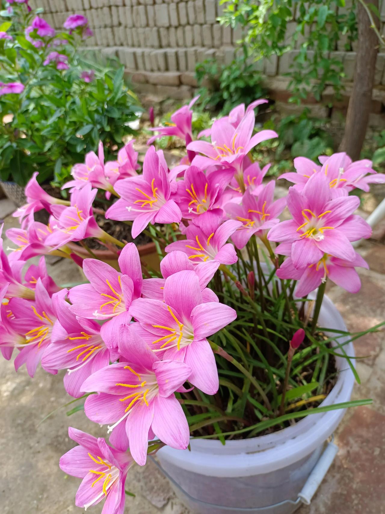 婆婆的钱能不能帮存，这事儿得具体情况具体分析。有个例子，儿媳许丽帮婆婆存钱，把2