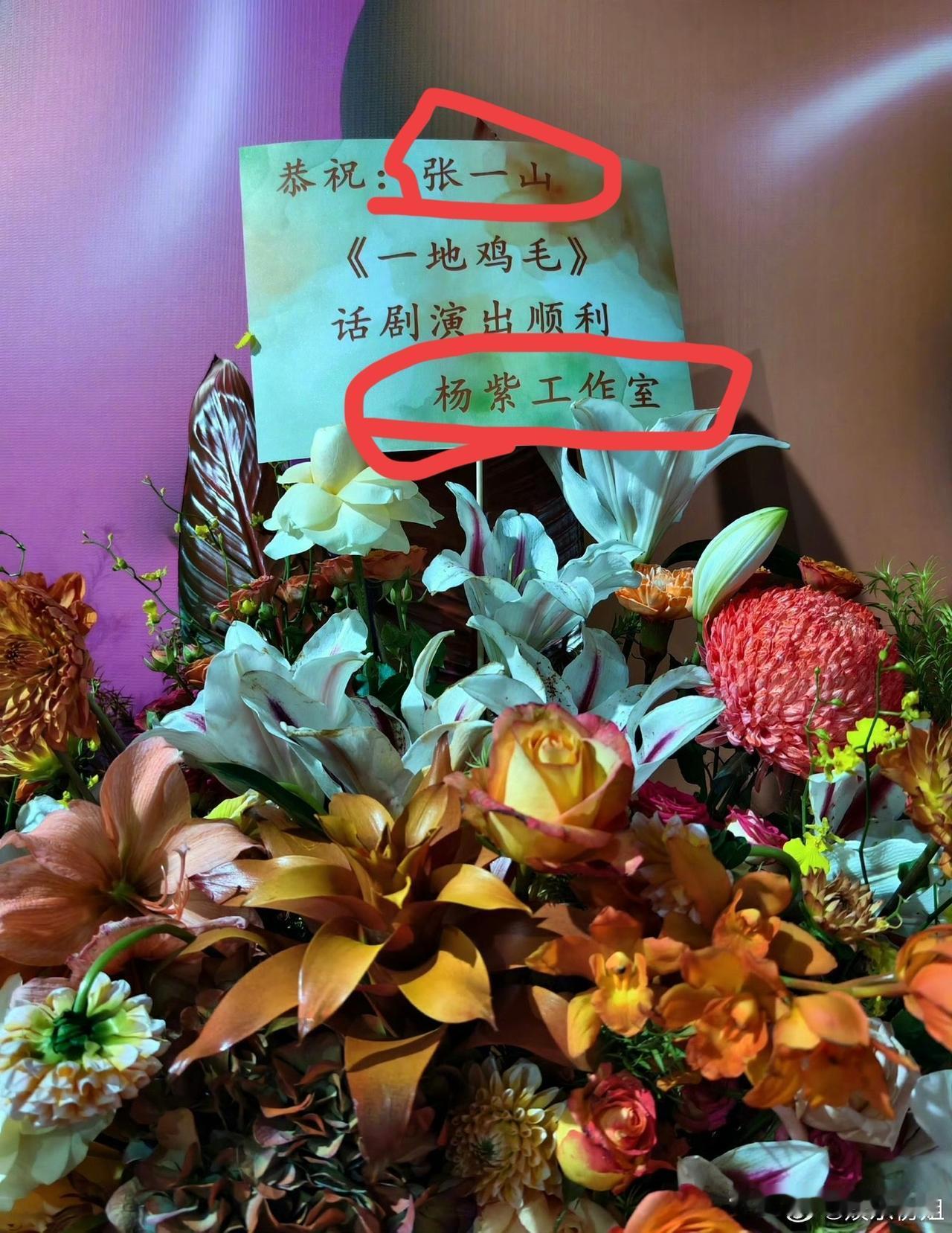 看杨紫父亲抱张一山笑的样子我就知道我的担心是多余的张一山话剧《一地鸡毛》首场