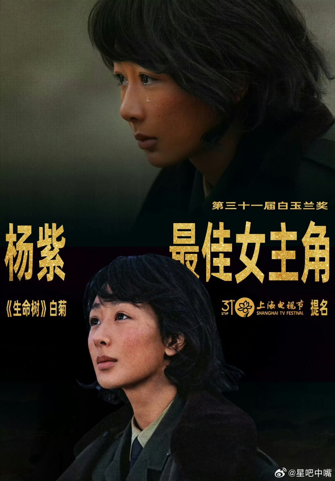 生命树杨紫白玉兰视后和大家说两个本嘴推测的好消息！1️⃣杨紫大概率已锁定CMG
