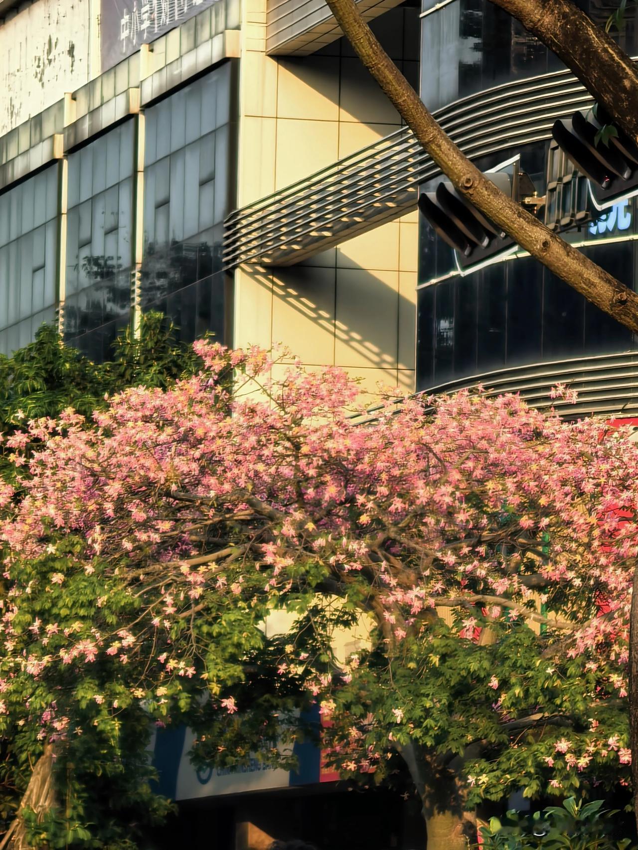 量化交易对股市的影响有多大?量化在资金，消息面，通道，策略，甚至融资融券方面的组