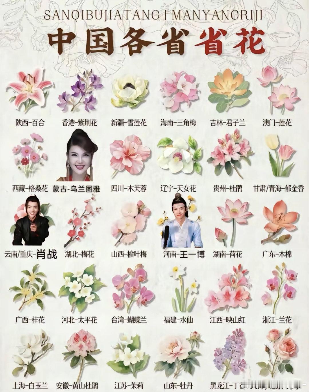 笑死我了。。。重庆省花肖战河南省花王一博啊哈哈哈哈